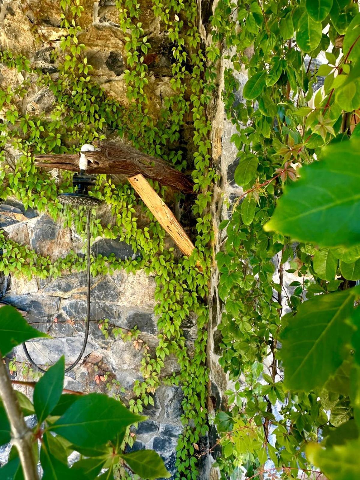 Casa Jasmin Bed & Breakfast Troncones Exterior photo
